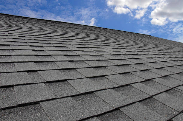 Best Roof Insulation Installation  in Petersburg, AK