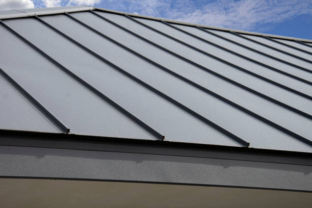 Best Steel Roofing  in Petersburg, AK